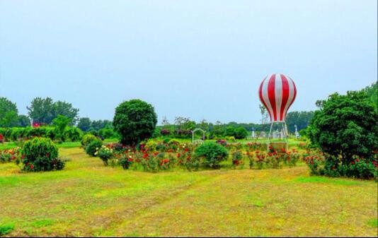 半岛足球app星空(中国)有限公司